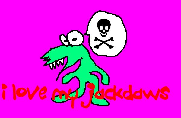 jackdaws.jpg